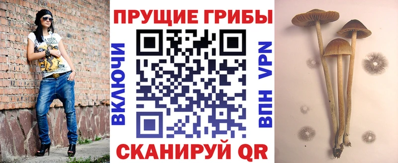 Галлюциногенные грибы ЛСД  Райчихинск 